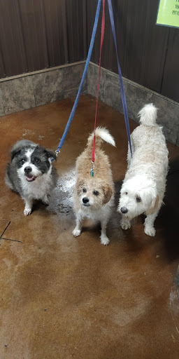 Pet Supply Store «Pet Food Plus», reviews and photos, 2819 E Hamilton Ave, Eau Claire, WI 54701, USA