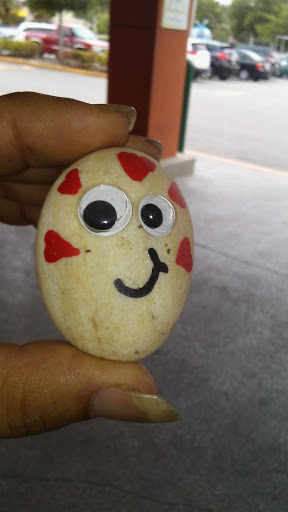 Grocery Store «Winn-Dixie», reviews and photos, 9101 Little Rd, New Port Richey, FL 34654, USA