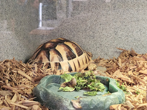 Pet Supply Store «Pet Bazaar», reviews and photos, 490 FL-436, Casselberry, FL 32707, USA