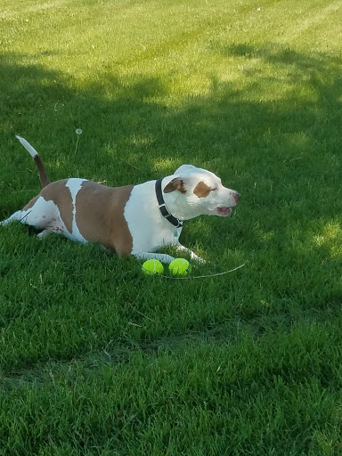 Park «Del Mar Park», reviews and photos, 12000 E 6th Ave, Aurora, CO 80010, USA