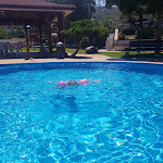 Photo n°1 de l'avis de roberto.r fait le 01/07/2018 à 10:48 sur le  Hotel Delle Canne à Amantea