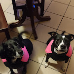 Photo n°5 de l'avis de Veronica.a fait le 12/12/2023 à 15:26 sur le  Ristorante Residence Giardini à Piode