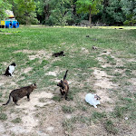 Photo n°3 de l'avis de Antonello.a fait le 14/06/2022 à 07:38 sur le  Forte Marghera à Venice