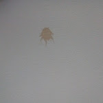 Photo n°1 de l'avis de Lucie.a fait le 02/07/2021 à 09:41 sur le  Top’Otel à 