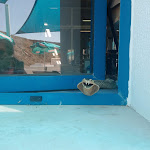 Photo n°8 de l'avis de Carole.o fait le 30/08/2022 à 10:28 sur le  A Sereia à Sagres