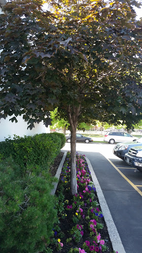 Charity «Deseret Industries Humanitarian Center», reviews and photos, 1665 Bennett Rd, Salt Lake City, UT 84104, USA