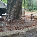 Photo n°2 de l'avis de Tobias.o fait le 12/08/2021 à 21:39 sur le  Trattoria Bar Alimentari Musetti Dina à Pontremoli