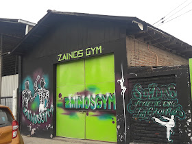 Gimnasio Zainos