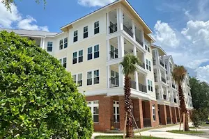 The Flats at Tioga Town Center Apartments image