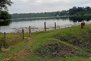 Dalu tourist lake image