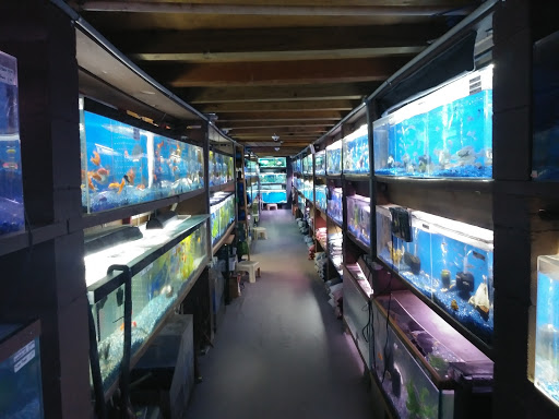 Tropical Fish Store «Delta Pet Center LLC», reviews and photos, 1370 Corporate Square Blvd, Slidell, LA 70458, USA