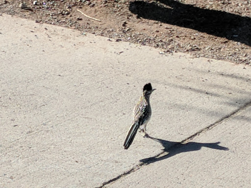 Golf Club «Foothills Golf Club», reviews and photos, 2201 E Clubhouse Dr, Phoenix, AZ 85048, USA