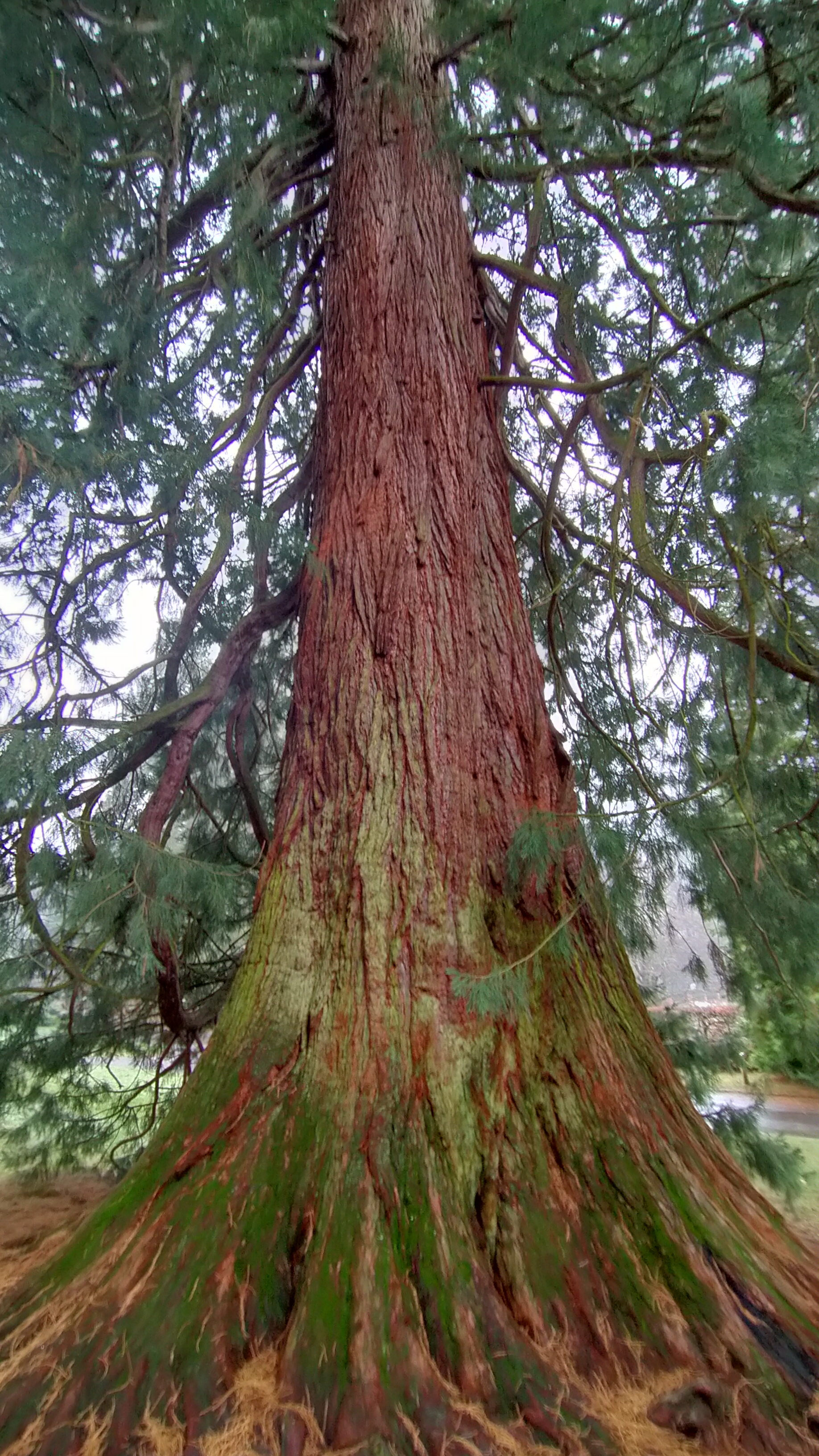 Photo n° 1 de l'avis de Marie.a fait le 10/01/2023 à 17:08