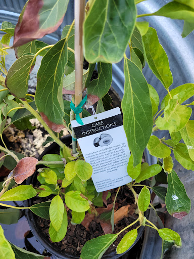 Home Improvement Store «Tractor Supply Co.», reviews and photos, 1701 US-377, Roanoke, TX 76262, USA