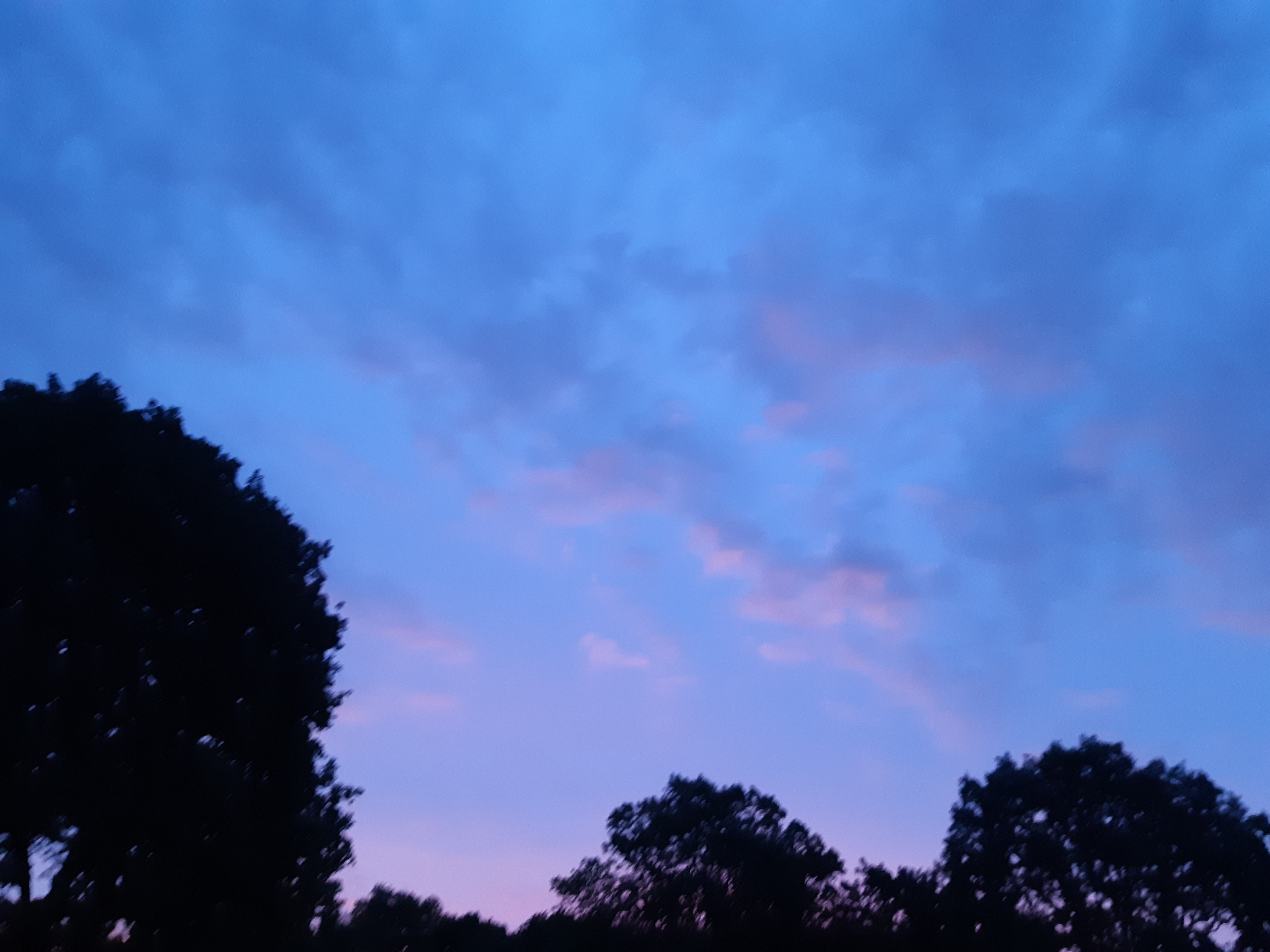 Photo n° 1 de l'avis de Lea.e fait le 30/09/2019 à 14:28