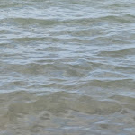 Photo n°29 de l'avis de FILIPPO.M fait le 04/09/2021 à 06:52 sur le  Lido Azzurro Stabilimento balneare à Agropoli