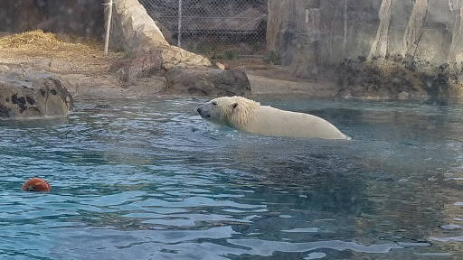 Zoo «Rocky Shores At Hogle Zoo», reviews and photos, 2478 E Ninth S Cir, Salt Lake City, UT 84108, USA