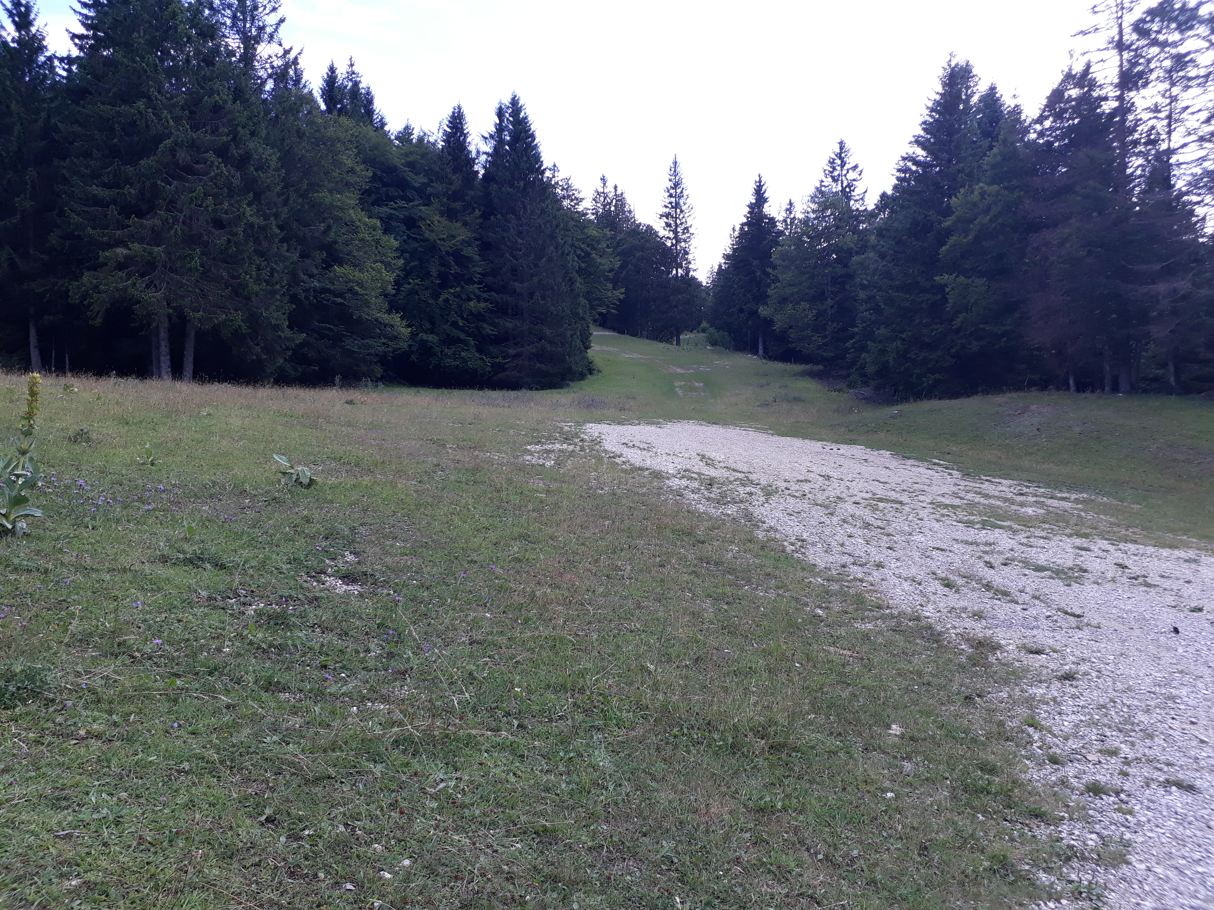 Photo n° 9 de l'avis de Dieter.i fait le 01/08/2019 à 20:23