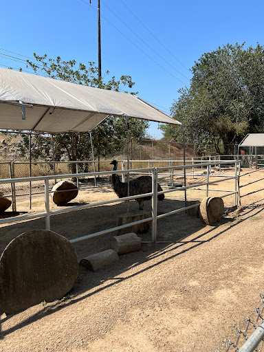 Park «Montebello Barnyard Zoo», reviews and photos, 600 Rea Dr, Montebello, CA 90640, USA