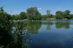 Fótfürdői tó park image