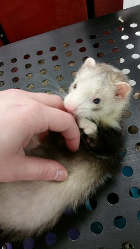 Pet Supply Store «Petco Animal Supplies», reviews and photos, 2621 MacArthur Rd, Whitehall, PA 18052, USA