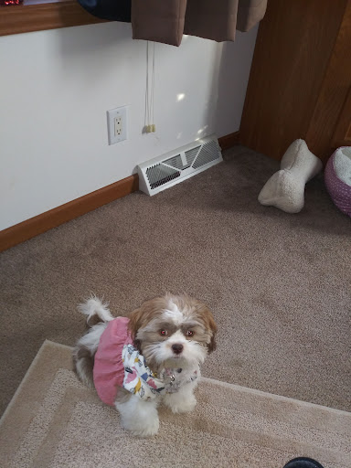 Companion Animal Care Center