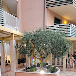 Photo n°4 de l'avis de Vivi. fait le 12/08/2021 à 04:55 sur le  Club Family Hotel Tintoretto Cervia à Cervia