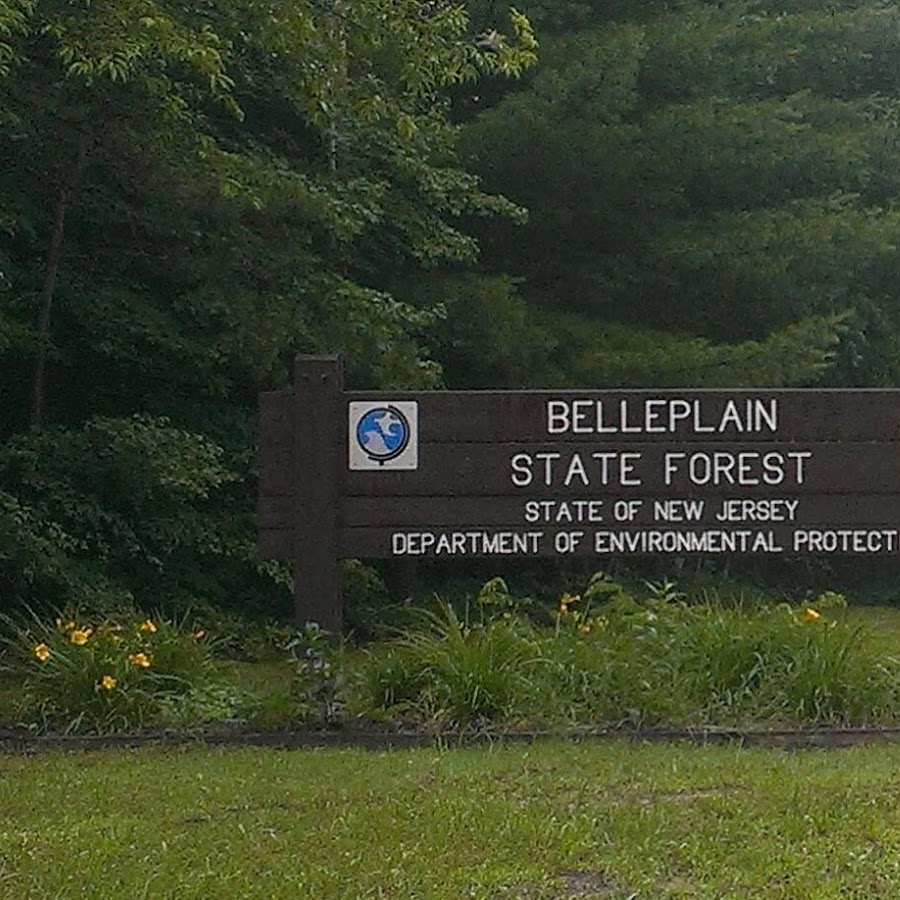 Belleplain State Forest