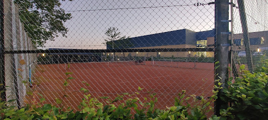 Vildbjerg Tennis og padelklub