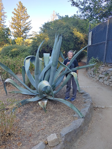 Zoo «Sacramento Zoo», reviews and photos, 3930 W Land Park Dr, Sacramento, CA 95822, USA