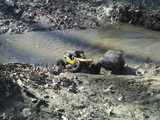 Park «Wayne County Parks & Rec», reviews and photos, 33175 Ann Arbor Trail, Westland, MI 48185, USA