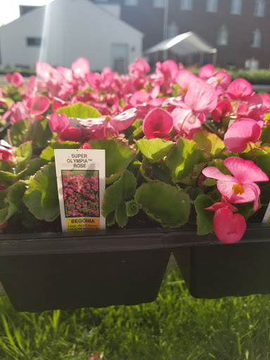 Florist «Lyndhurst Florist», reviews and photos, 5268 Mayfield Rd, Lyndhurst, OH 44124, USA