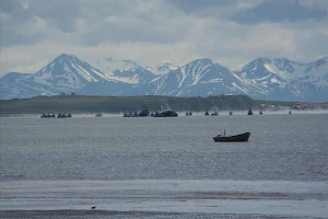 Alaska Wild Fish Company image