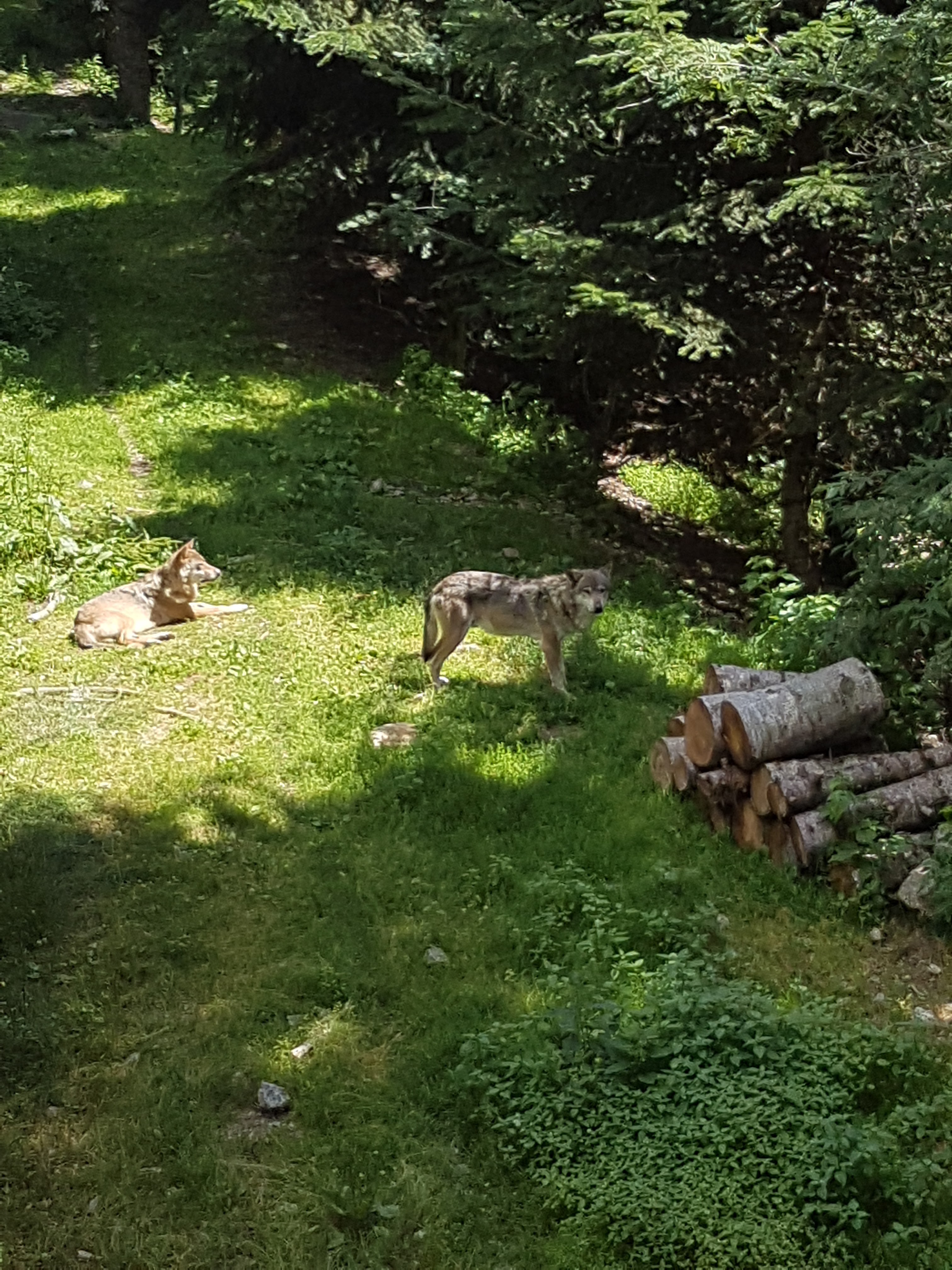 Photo n° 2 de l'avis de Emilie.a fait le 16/07/2019 à 17:58