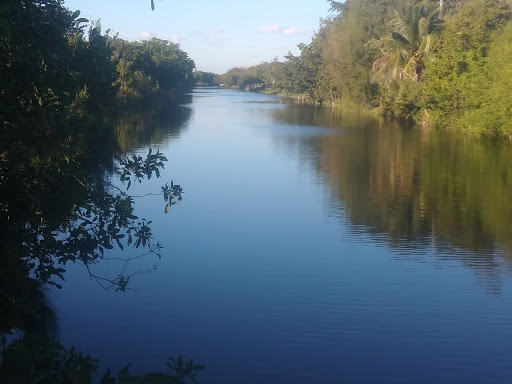 Movie Theater «AMC Sunset Place 24», reviews and photos, 5701 Sunset Dr #300, South Miami, FL 33143, USA