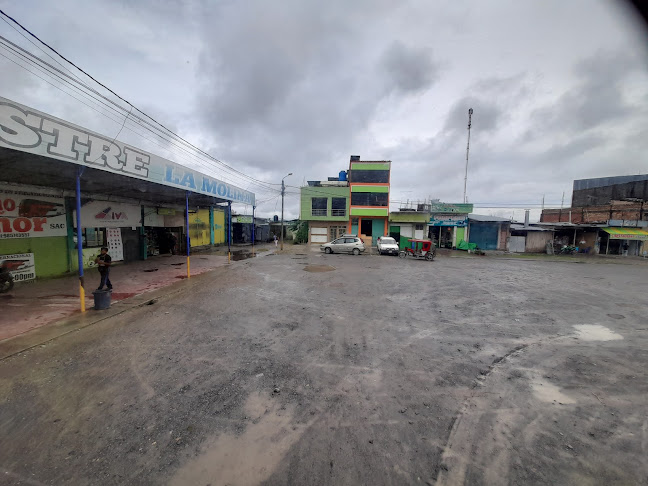 Opiniones de Terminal Terrestre La Molina en Nueva Cajamarca - Servicio de transporte