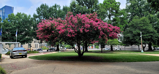 Historical Landmark «North Carolina State Capitol», reviews and photos, 1 E Edenton St, Raleigh, NC 27601, USA