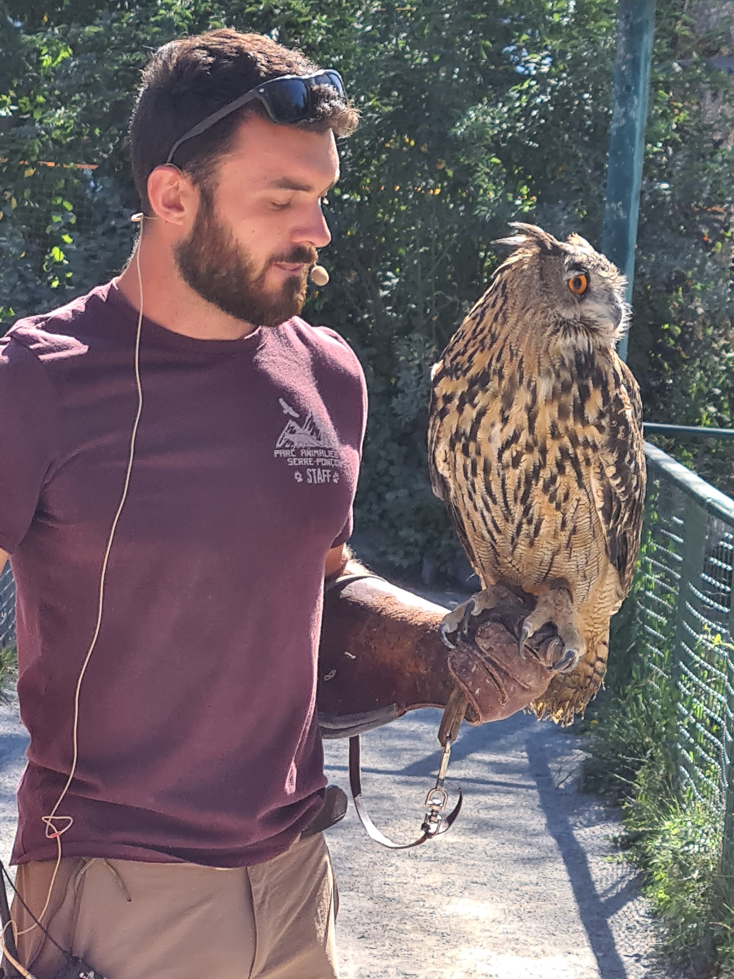 Photo n° 6 de l'avis de Jessica.b fait le 26/08/2020 à 17:11