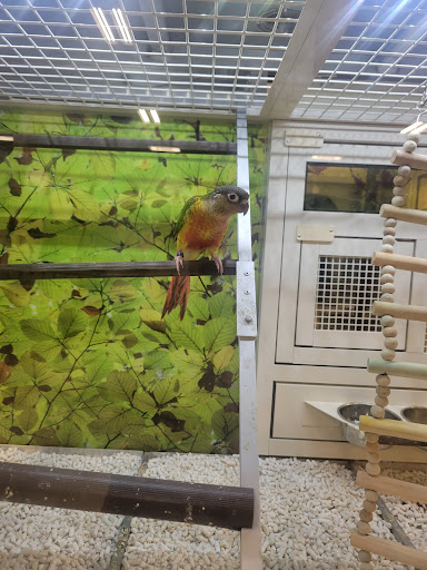 Pet Supply Store «PetSmart», reviews and photos, 4975 Cal Sag Rd, Crestwood, IL 60445, USA