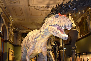 Photo n°12 de Carrefour Spectacles à Lézignan-Corbières ()