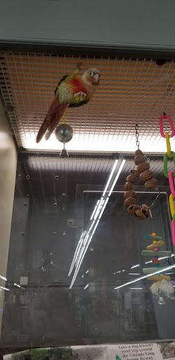 Pet Store «Sierra Fish and Pets», reviews and photos, 601 S Grady Way Suite M, Renton, WA 98057, USA