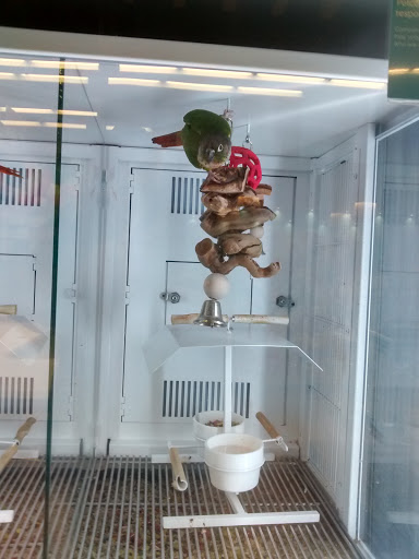 Pet Supply Store «Petco Animal Supplies», reviews and photos, 12638 Capital Blvd, Wake Forest, NC 27587, USA