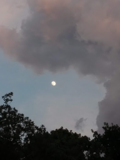 Park «Cobblestone Trail Park», reviews and photos, 7601 John T White Rd, Fort Worth, TX 76120, USA