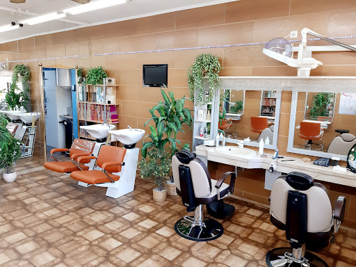 Friseur Hautz In Wiener Neustadt