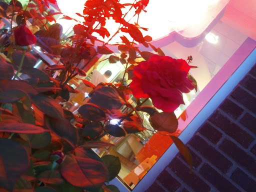 Donut Shop «Krispy Kreme Buford», reviews and photos, 3387 Buford Dr NE, Buford, GA 30519, USA