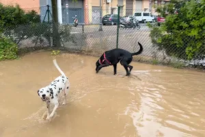 Dog park image