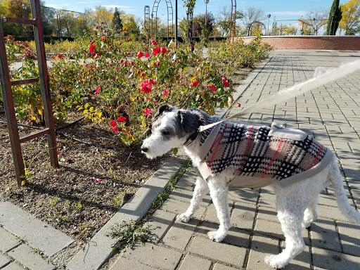 Veterinaria Vicalvaro en Madrid