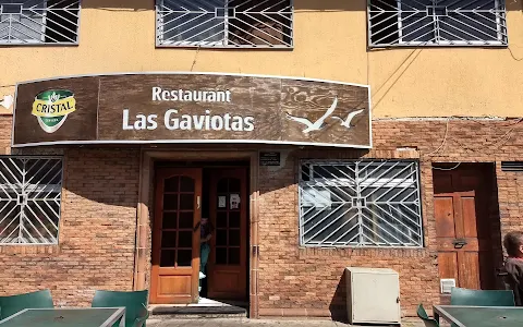 Las Gaviotas image