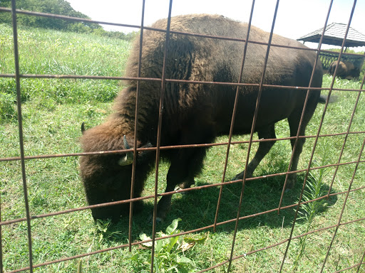 Golf Course «Hodge Park Golf Course», reviews and photos, 7000 NE Barry Rd, Kansas City, MO 64156, USA