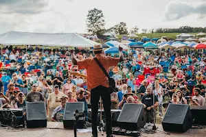 Briggs Farm Blues Festival image